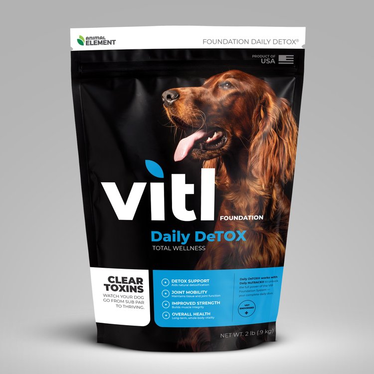 Vitl Foundation: DailyDetox