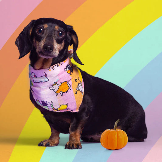 Bandana・Halloweenie