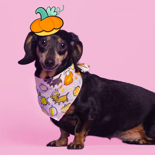 Bandana・Hello Gourdgeous