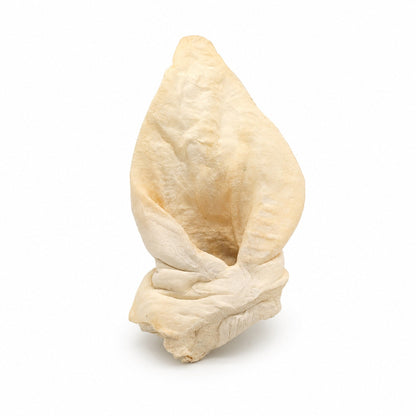 White Puffed Water Buffalo Ears for Dogs | Natural Buffalo Ear Chews 10 Pack