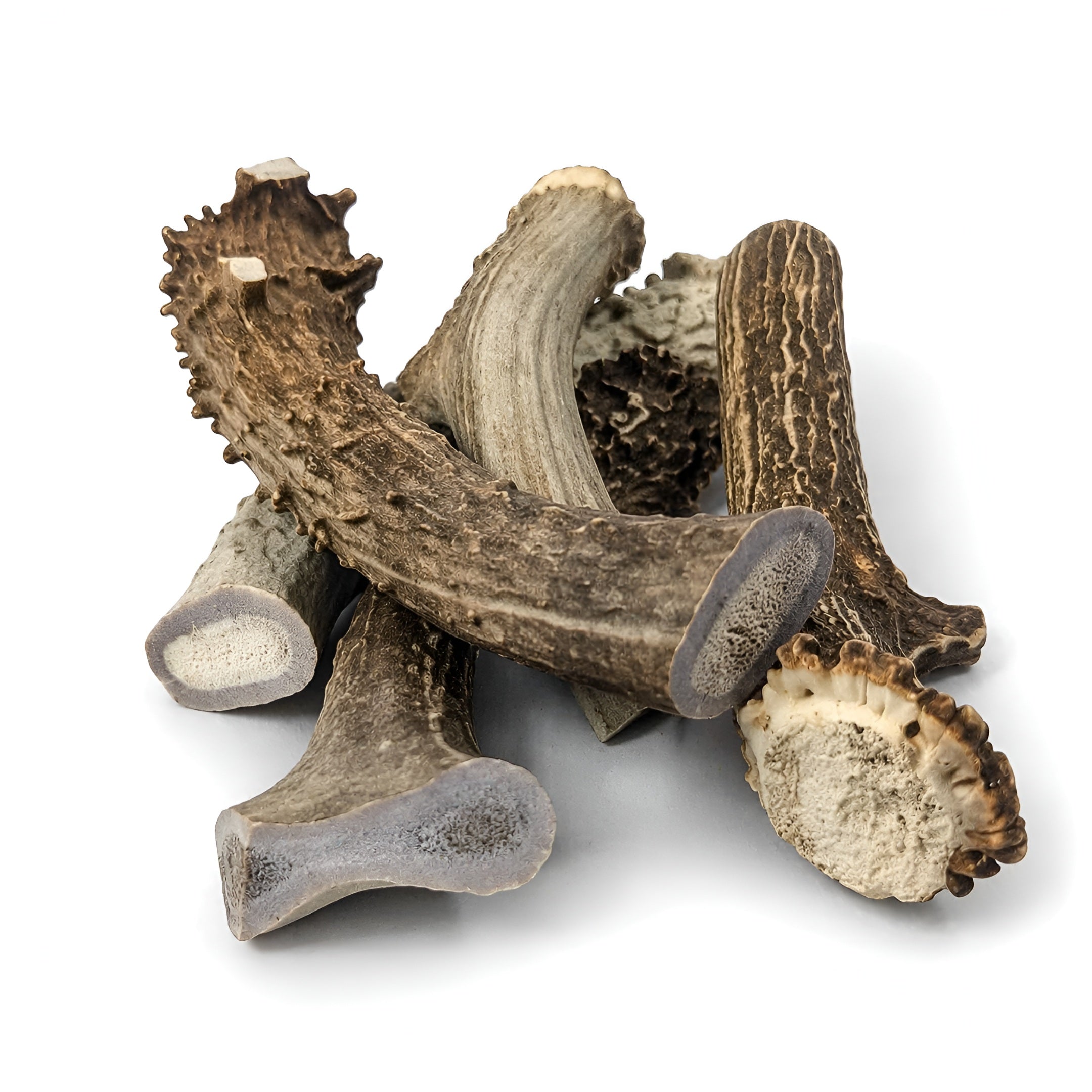 Whole Deer Antlers for Dogs Large 7–11” Natural Chew (5-Pack)