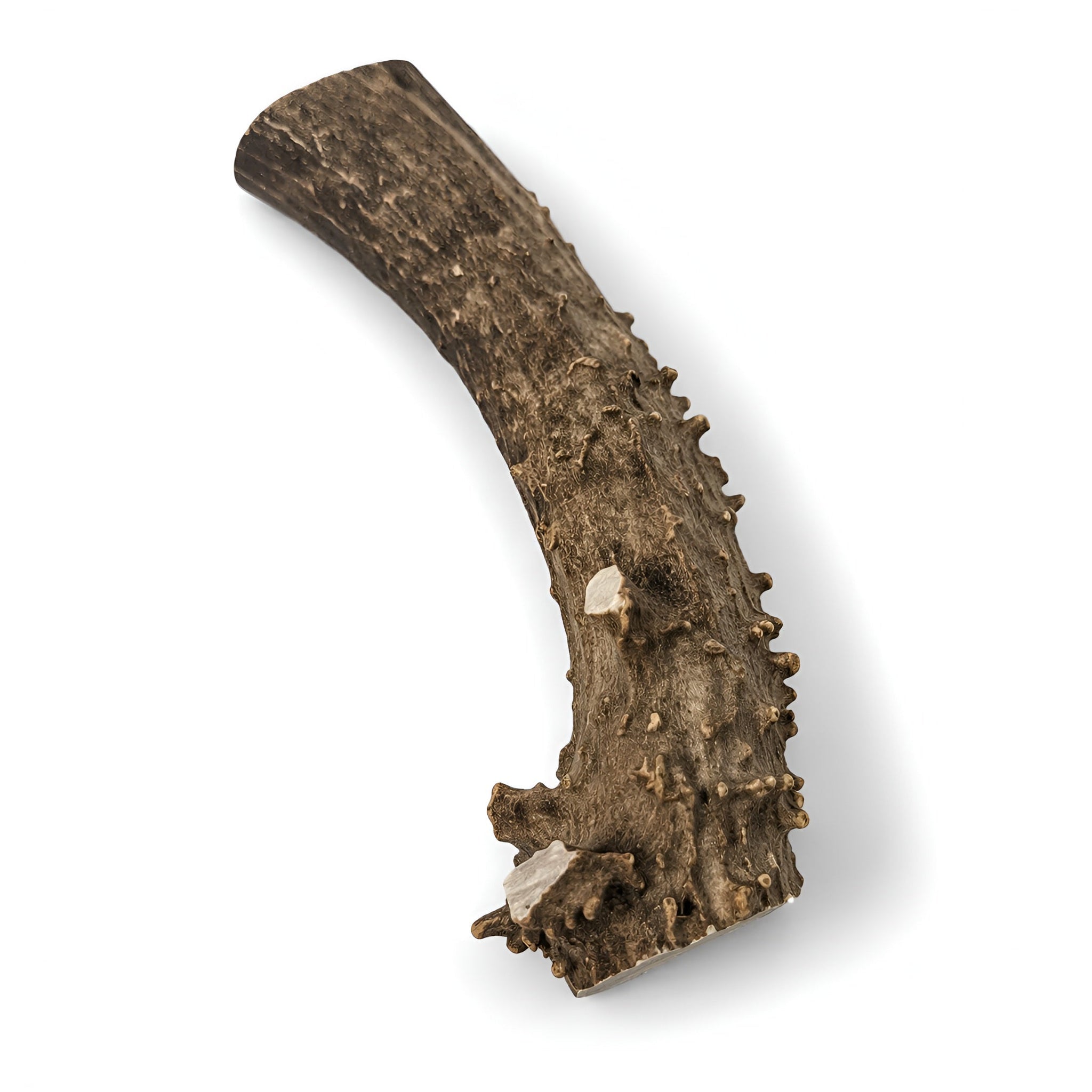 Whole Deer Antlers for Dogs Large 7–11” Natural Chew (5-Pack)