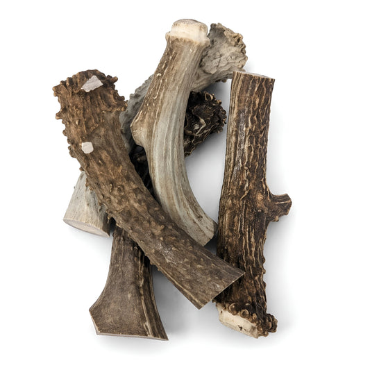 Whole Deer Antlers for Dogs Large 7–11” Natural Chew (5-Pack)