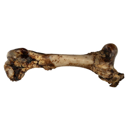 Whole Femur Bone Dog Treat – All-Natural, Long-Lasting Dog Chew (1-Count)
