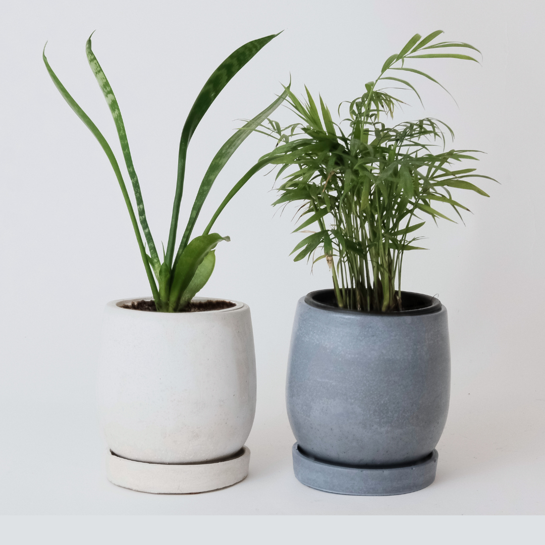 Zian Pot with Saucer